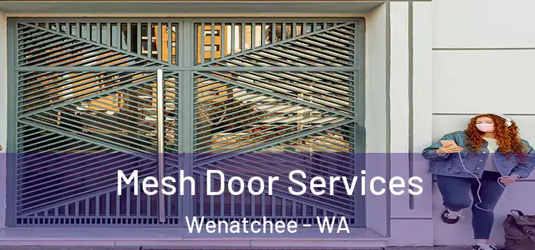 Mesh Door Services Wenatchee - WA